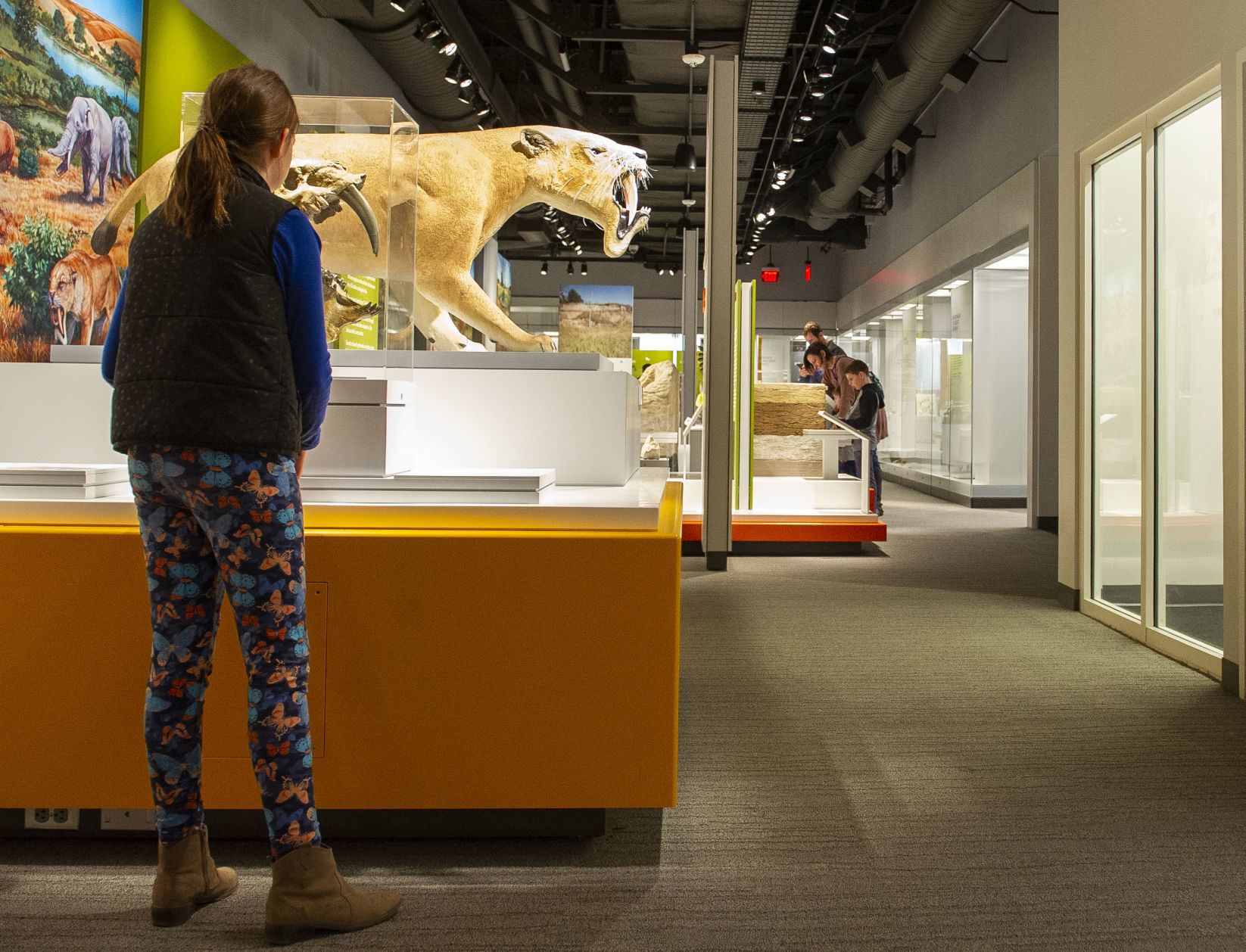 Morrill Hall 2.16